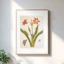 Suche nach blumenillustrationen poster Hübsch