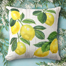 Suche nach zitrone kissen Aquarell