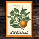 Suche nach grüße von florida postkarten Retro