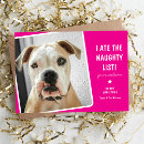 Suche nach aß karten Haustier