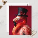 Suche nach flamingo postkarten Tropenvogel