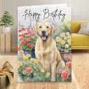 Suche nach labrador retriever geburtstag karten Hund