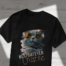 Suche nach hauskatze Erstelle selbst