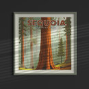 Suche nach sequoia poster Im freien