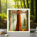 Suche nach sequoia fliesen Natur