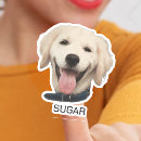 Suche nach haustier aufkleber Dogs