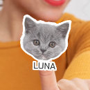Suche nach lustige katzen aufkleber Für haustiere