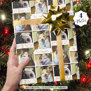 Suche nach doge geschenkpapier Dogs