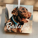 Suche nach coole typografie ornamente Haustier