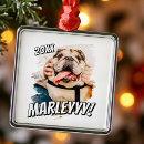 Suche nach pet ornamente Erstelle selbst
