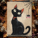 Suche nach spinne karten Schwarze katze