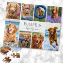 Suche nach hund puzzle Erstellen sie ihre eigene