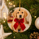 Suche nach golden retriever ornamente Weihnachten