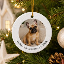 Suche nach französische bulldogge weihnachtsschmuck Für haustiere