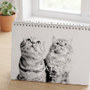 Suche nach kätzchen kalender Süß