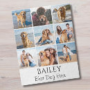 Suche nach hunde puzzle Modern