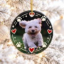 Suche nach hunde ornamente Für haustiere