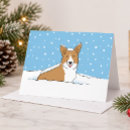 Suche nach walisisch karten Corgi