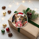 Suche nach corgi aufkleber Pembroke welsh corgi