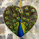 Suche nach pfau ornamente Tier