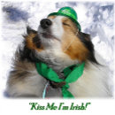 Suche nach niedlicher st patricktag Grün