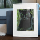 Suche nach grüne augen poster Katze