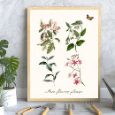 Suche nach für botaniker poster Wandkunst