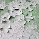 Suche nach einzigartig und ungewöhnlich geschenkpapier Spaß