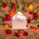 Suche nach glitter wedding einladungen White