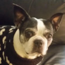 Suche nach christlich puzzle Weihnachten