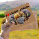 Suche nach afrikanische tiere postkarten Elefant