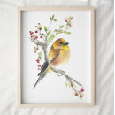 Suche nach die kanarienvögel poster Singvogel
