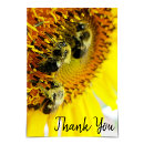 Suche nach bumblebee karten Sonnenblume