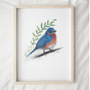 Suche nach bluebird poster Natur