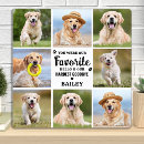 Suche nach zum gedenken an fotoplatten Beileid