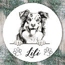 Suche nach australian shepherd aufkleber Liebhaber