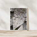 Suche nach monochrome poster Minimal