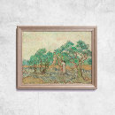 Suche nach olivenbäume van gogh poster Olivenhain