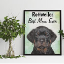 Suche nach rottweiler poster Tiere