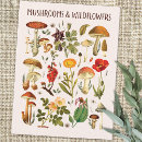 Suche nach bunte pilze postkarten Für sie