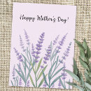 Suche nach lavendel blumen postkarten Blumig