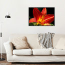 Suche nach taglilien poster Botanisch