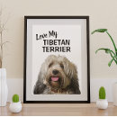 Suche nach tibetaner poster Hunde