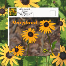 Suche nach maryland staat postkarten Schwarz mit augen