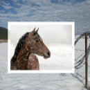 Suche nach fallend postkarten Winter