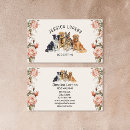 Suche nach dog sitter visitenkarten Hundshammen