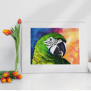 Suche nach amazon poster Vögel