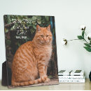 Suche nach text fotoplatten Papa