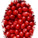 Suche nach erntedank geschirr tücher Küchentücher