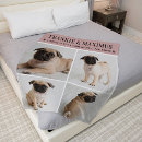 Suche nach hunde decken Dogs